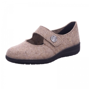 29066-40428 BIRKE