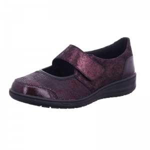 29503-40439 WINE