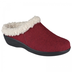 STINE D ROOD
