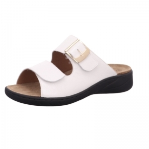 20187-10158 WEIS L