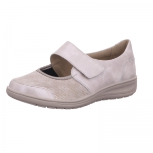 29503-20728  SASSO/GREY