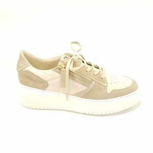 5220 V02 TASSO/LATTE