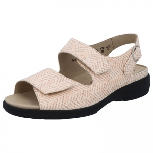 73144-90354 APRICOT