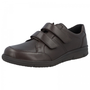 64500-30534 D BRUIN