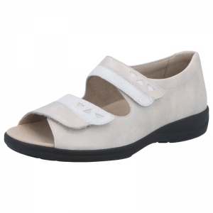 73081-20831 SASSO/WEISS