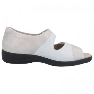73081-20831 SASSO/WEISS
