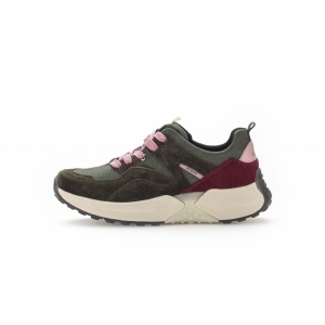 36.993.81 BOSCO/BORDO/ROS