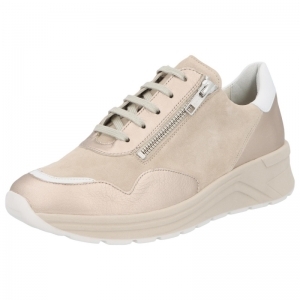 59071-40519 CHAMPAGNE