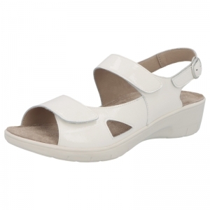 24023-10052 CREME