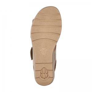 CALIE L TAUPE
