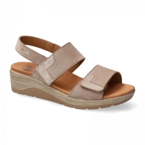CALIE L TAUPE