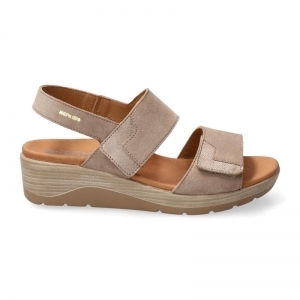 CALIE L TAUPE