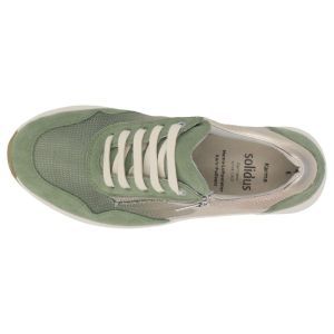 59500 70296 AVOCADO