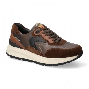 CRUZ CHESTNUT