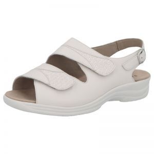74019-20953 LINO/PLATINO