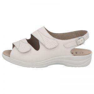 74019-20953 LINO/PLATINO