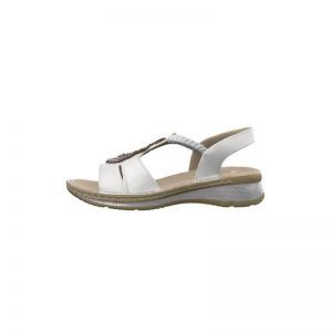 29008-04 WIT
