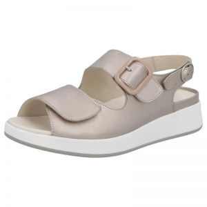 79104-40596 CHAMPAGNE