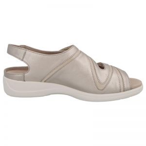 73043-30685 CHAMPAGNE
