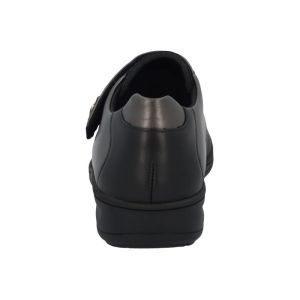 29506 30580 TERRA MULTI